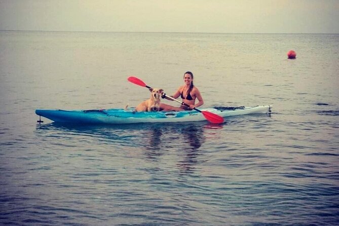 Kayaking Adventure Around Pelion Coastline - Good To Know