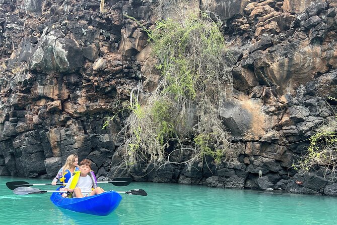 Kayaking Experience in Franklin Bay - Good To Know