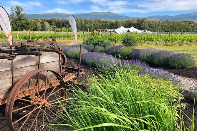 Kelowna Wine Tour on an E-Bike With Lunch - Good To Know