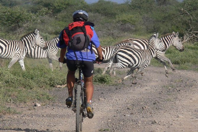Kilimanjaro Bike Park Safari - Good To Know