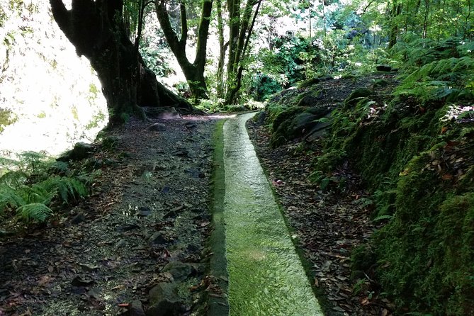 Kings Levada - São Jorge - Overview of Kings Levada Tour