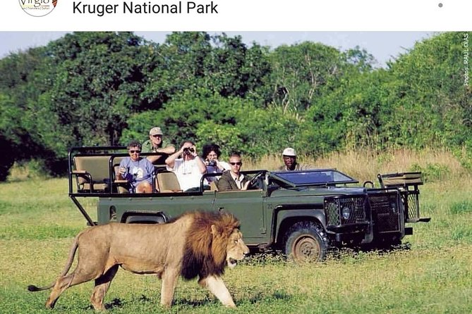 Kruger National Park 2 Days 1 Night Magical Safari From Johannesburg Private - Good To Know