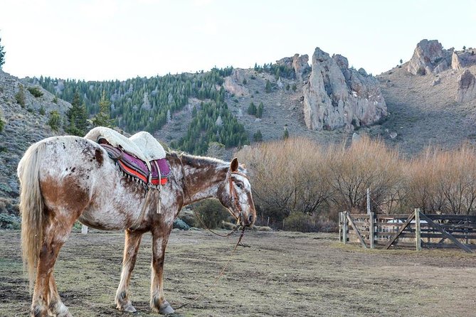 La Fragua Horseback Riding - About Your Stay