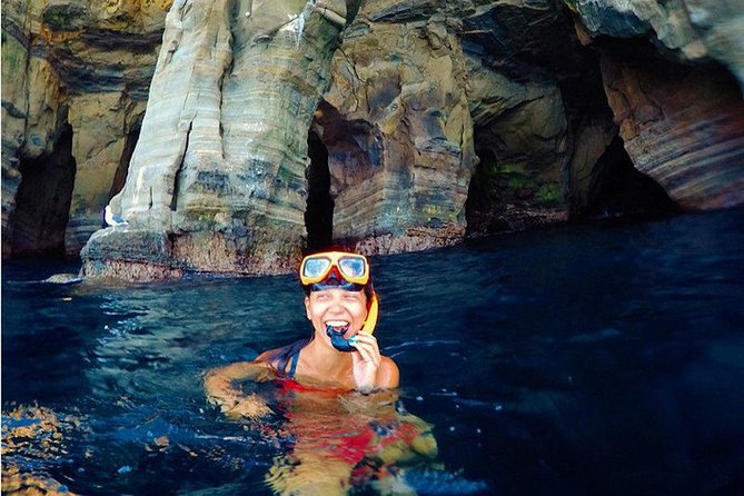 La Jolla Cove and Cave Snorkel Tour - Good To Know