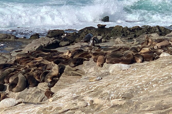 La Jolla Jig Scavenger Hunt - About Your Stay