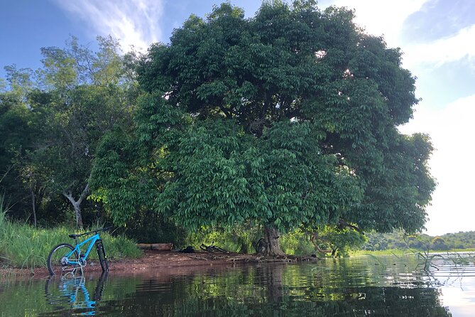 Lake Itaipu Bike Experience: Ride Along the Banks of the Lake - Tour Highlights