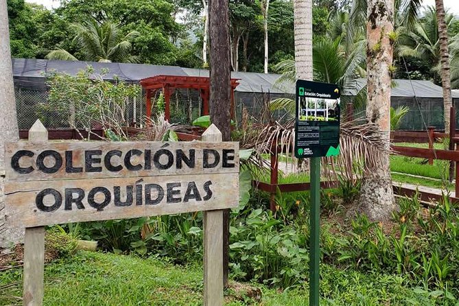 Lancetilla Botanical Garden From San Pedro Sula - About Your Stay