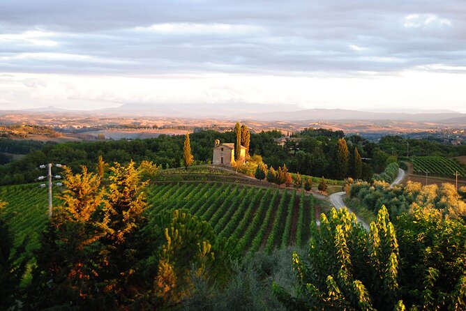 Lapi&Tour Guided Tour of the Cellars With Wine Tasting - Visiting the Viator Help Centre