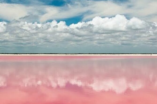 Las Coloradas & Río Lagartos With Boat & Lunch From Mérida - Key Points