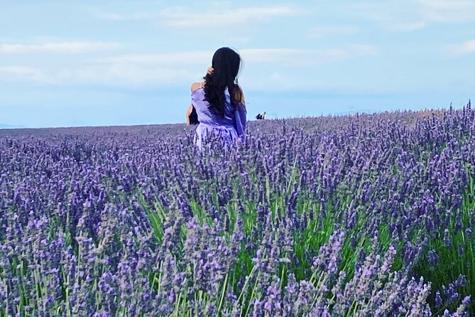 Lavender Fields Visit With Private Transportation  - Marseille - Good To Know