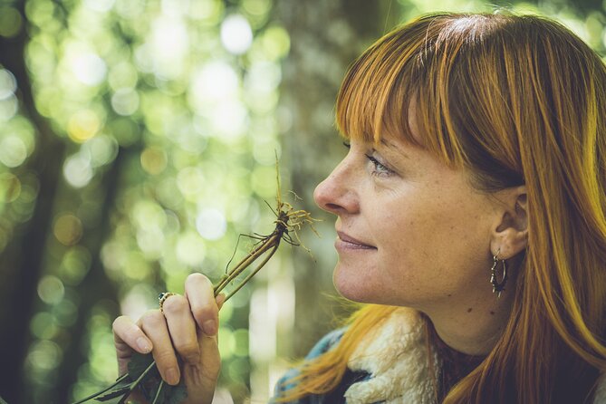 Learn to Forage in Llangollen - Good To Know