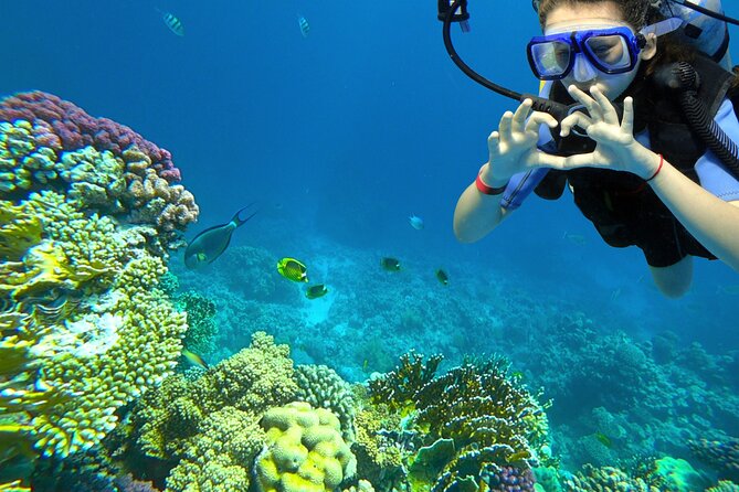 Learn to Scuba Dive With a Professional Instructor in Key Largo - All Inclusive - Good To Know