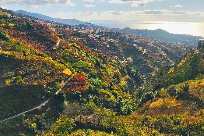 Levada Do Norte - Walking Tour - Good To Know
