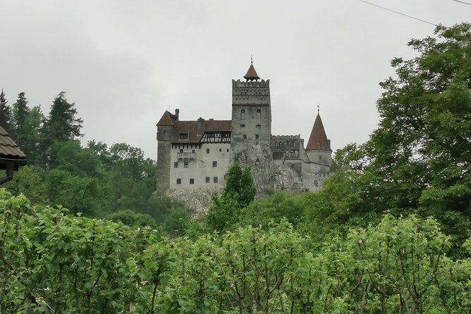 Libearty Brown Bears Sanctuary & Dracula Castle in One Day! - Key Points