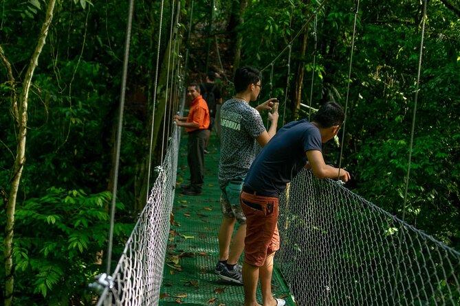 Limón Rainforest Hanging Bridges-Skywalk Tour & Tortuguero Canals - About Your Stay