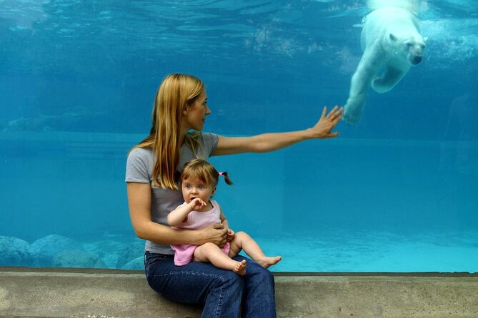 Lincoln Park Zoo Scavenger Hunt Review - Overview of the Scavenger Hunt