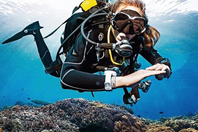 Lisbon Eco-Try Dive - Diving Baptism - Good To Know