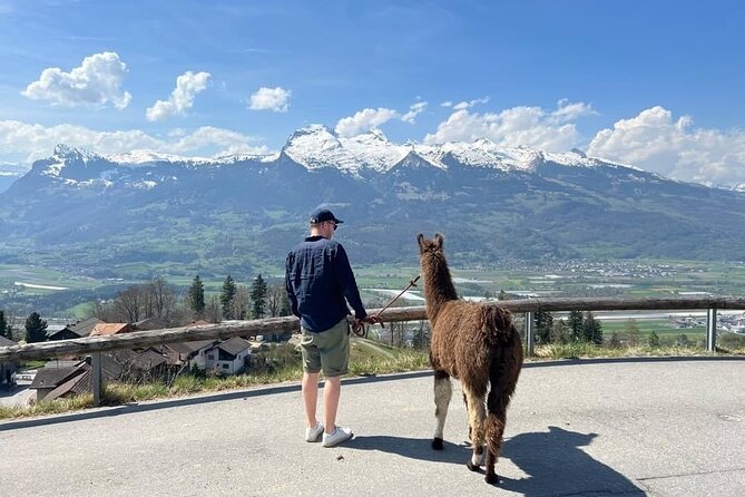 Llama Hike With Homemade, Traditional Cheese Fondue - Good To Know