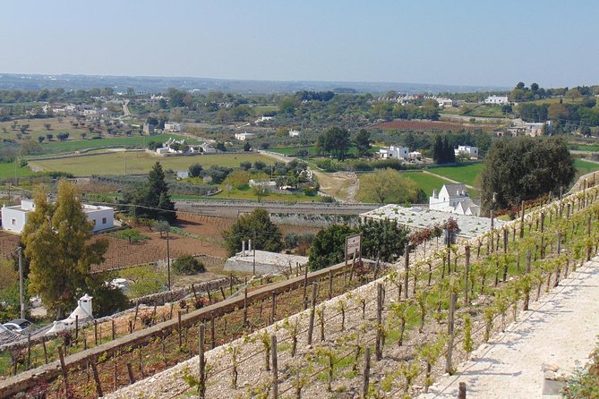 Locorotondo Private Tour: a Charming Town in the Itria Valley - Good To Know