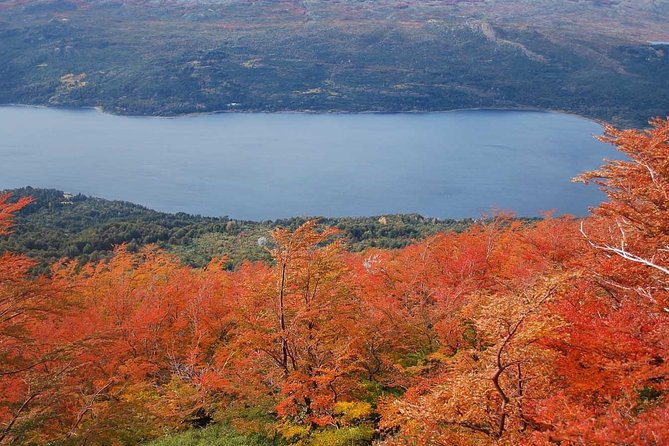Los Alerces National Park, Esquel - Half Day - Good To Know