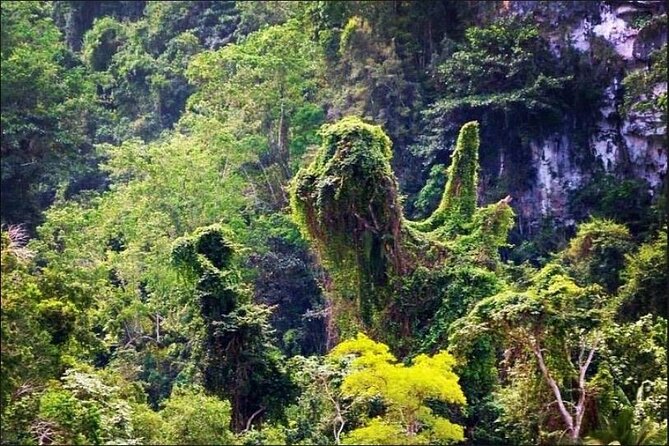 Los Haitises National Park Hiking + Kayaking (Private Excursion) - Tour Details and Inclusions