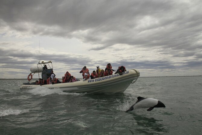 Lower Valley of the Chubut River With Dolphins Boat Watching - About Your Stay