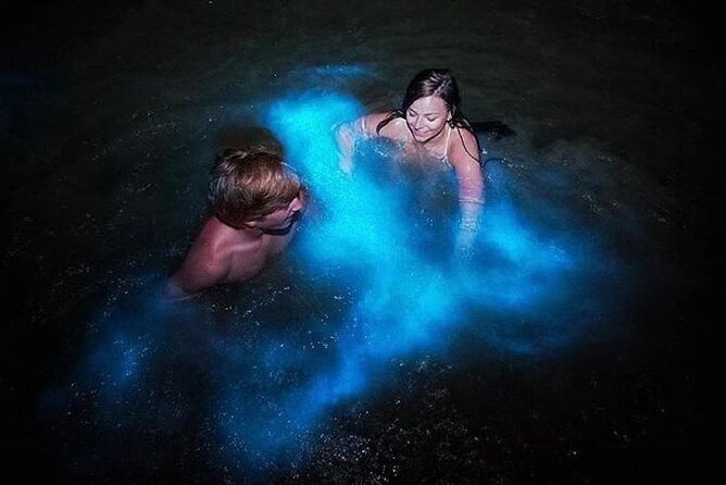 Luminous Lagoon Glistening Waters Tour From Falmouth - Good To Know