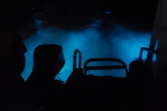 Luminous Lagoon Private Night Tour - Tour Highlights and Inclusions