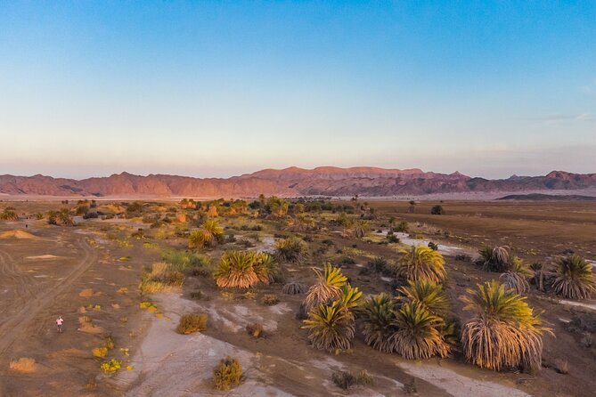 Luxury Sunset Safari to the Oasis & Starlit Dinner From Hurghada - Good To Know