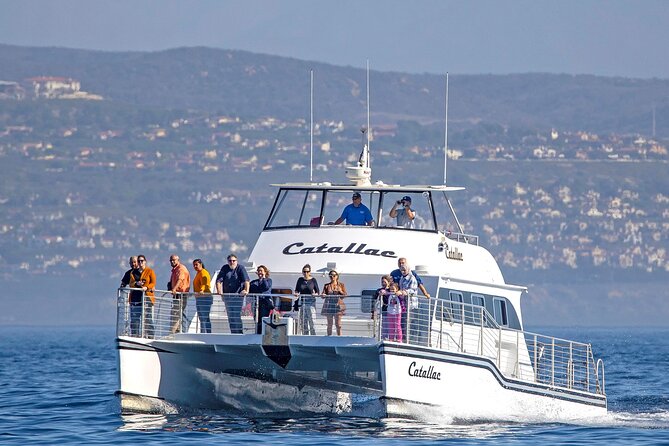 Luxury Whale Watching: Fewer People, Extra Speed, Expert Staff - Good To Know