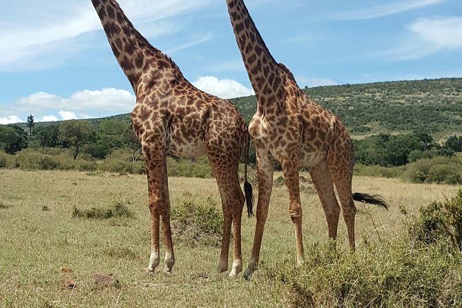 Maasai Mara Game Reserve - Good To Know
