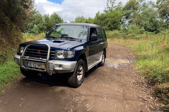 MADEIRA: Jeep Safari to Pico Arieiro & Santana Local Houses - Activity Highlights