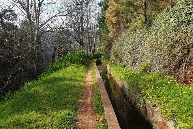 Madeira: Private Camacha Levada Do Tornos Walk - Good To Know