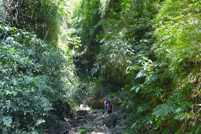 Maderas Volcano Hike at Ometepe Island