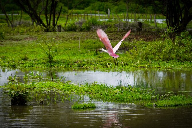 Magdalena River Safari - 6 Hours - Good To Know