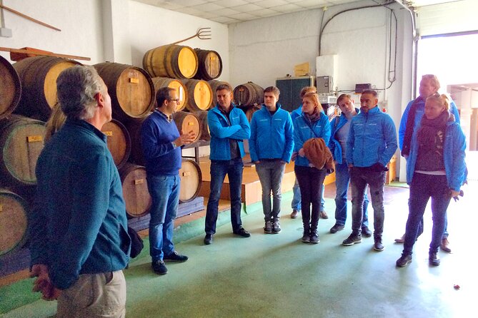 Malaga Shore Excursion: Panoramic Buggy Tour With Wine Tasting in a Historical Cellar - Tour Overview