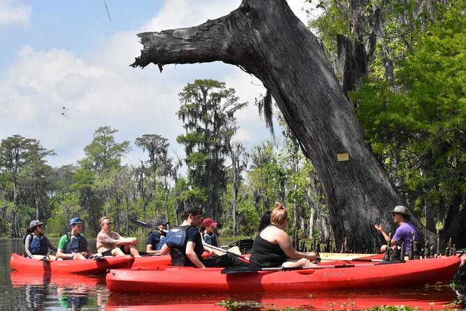 Manchac Swamp Kayak Tour for Experienced Kayakers With Pickup - Good To Know