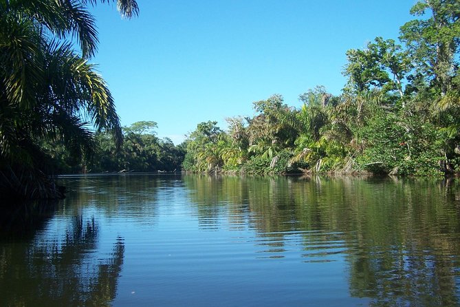 Mangrove & Gandoca Lagoon - Good To Know