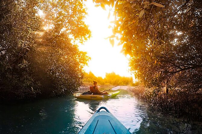 Mangrove Kayaking Abu Dhabi - Key Points