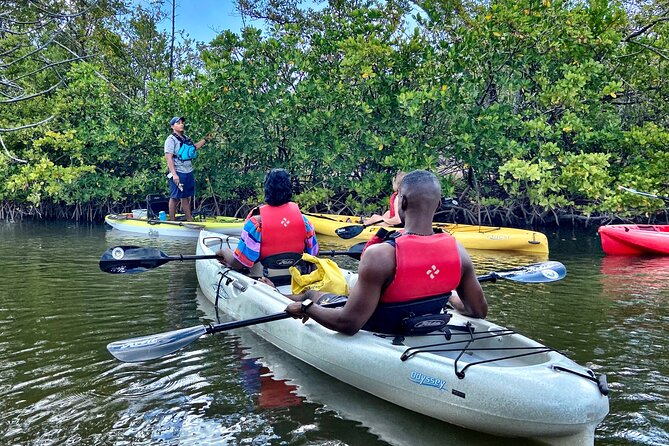 Mangrove Tunnel Kayak Eco Tour - Good To Know