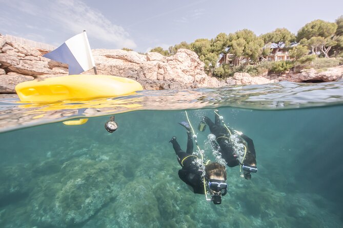 Marina Di Gioiosa Ionica First Scuba Experience  - Tropea - Key Points