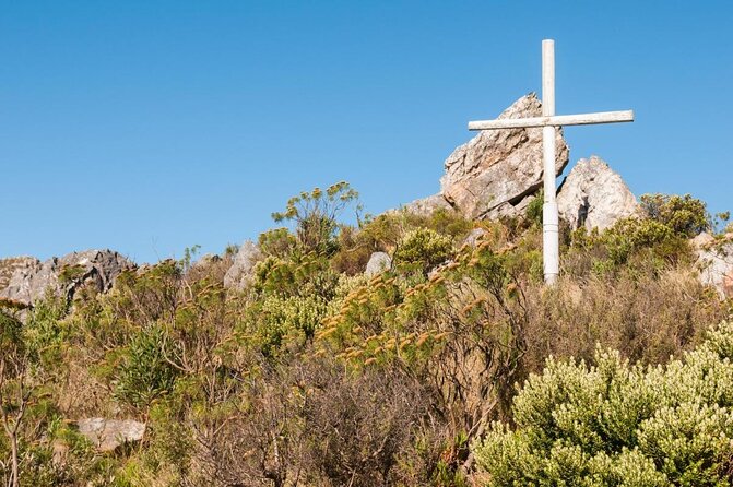Marine Big 5 Full Day Guided Return Transfer Cape Town - Gansbaai - Good To Know