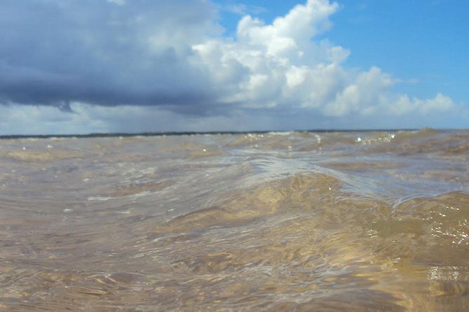 Marinho Da Coroa Alta Park Nautical Tour and Mud Bath From Porto Seguro - About Your Stay