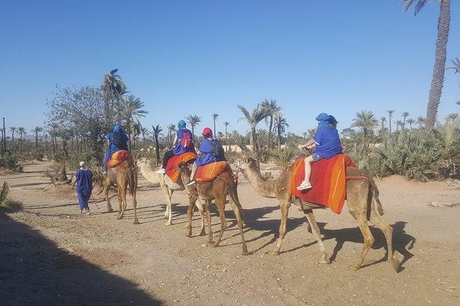 Marrakech Camel Safari at Agafay Desert - Good To Know