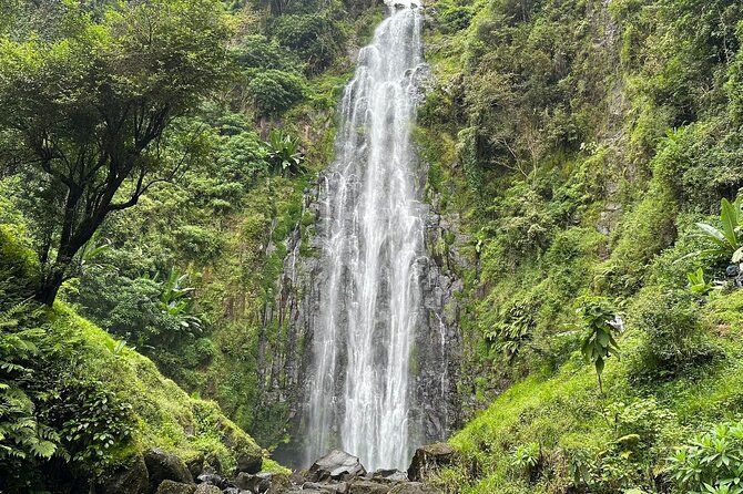 Materuni Waterfall and Coffee Plantation Half Day Tour - Good To Know