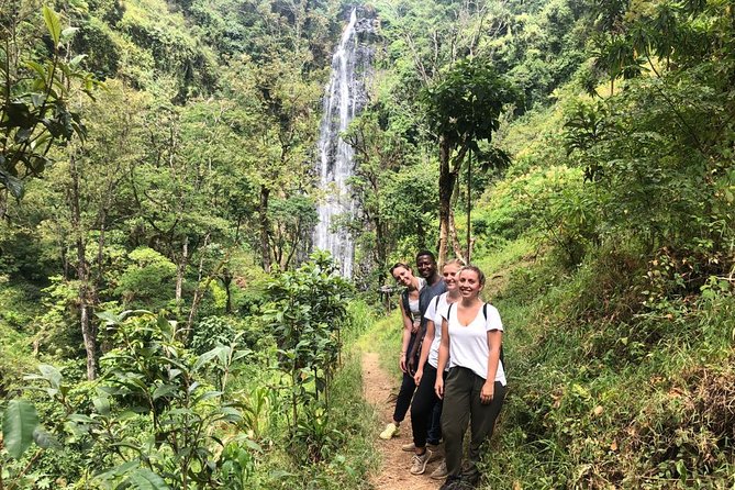 Materuni Waterfalls - Key Points