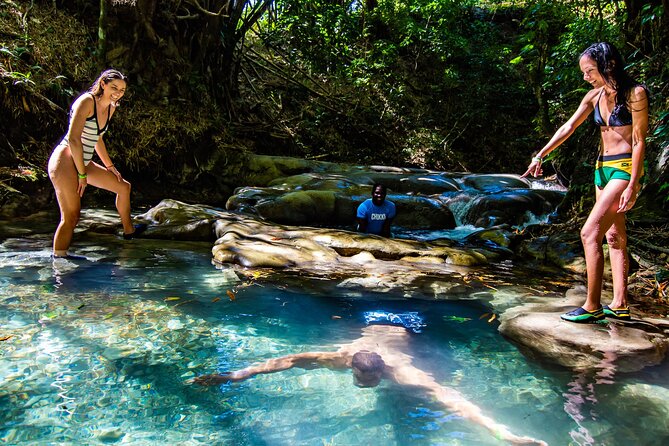 Mayfield Falls Adventure Plus River Walk With Bus Transport - Tour Overview and Highlights