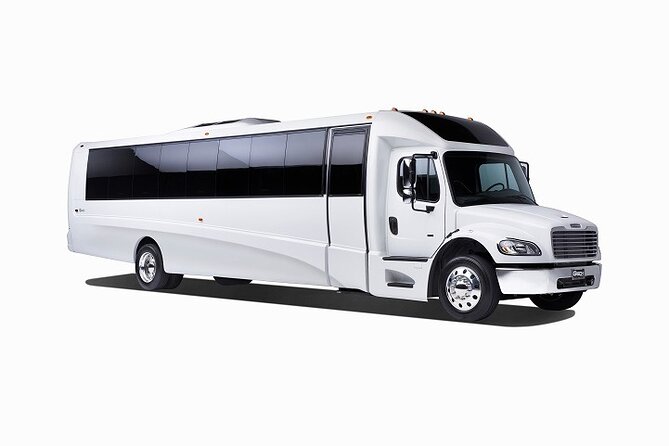 MCO Orlando Airport to Port Canaveral Private One Way Transfer - Good To Know