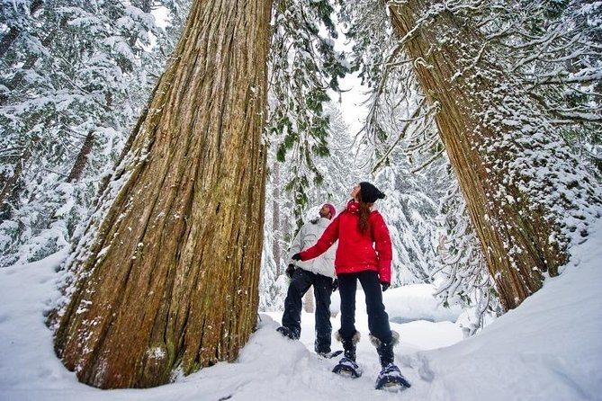 Medicine Trail Snowshoe Tour - Good To Know
