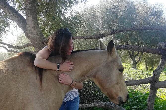 Meditation Activity: Mindfulness With Horses in Zahora - What Is Mindfulness With Horses?